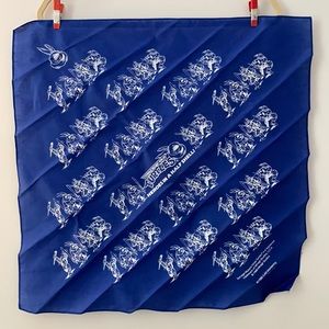 Vintage 1988 Teenage Mutant Ninja Turtles Bandana - Blue